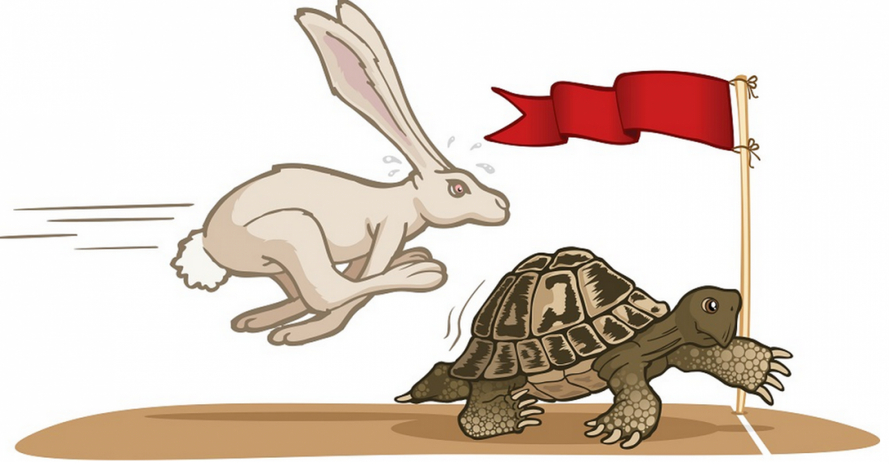 Tortoise-And-The-Hare_Jpg_9