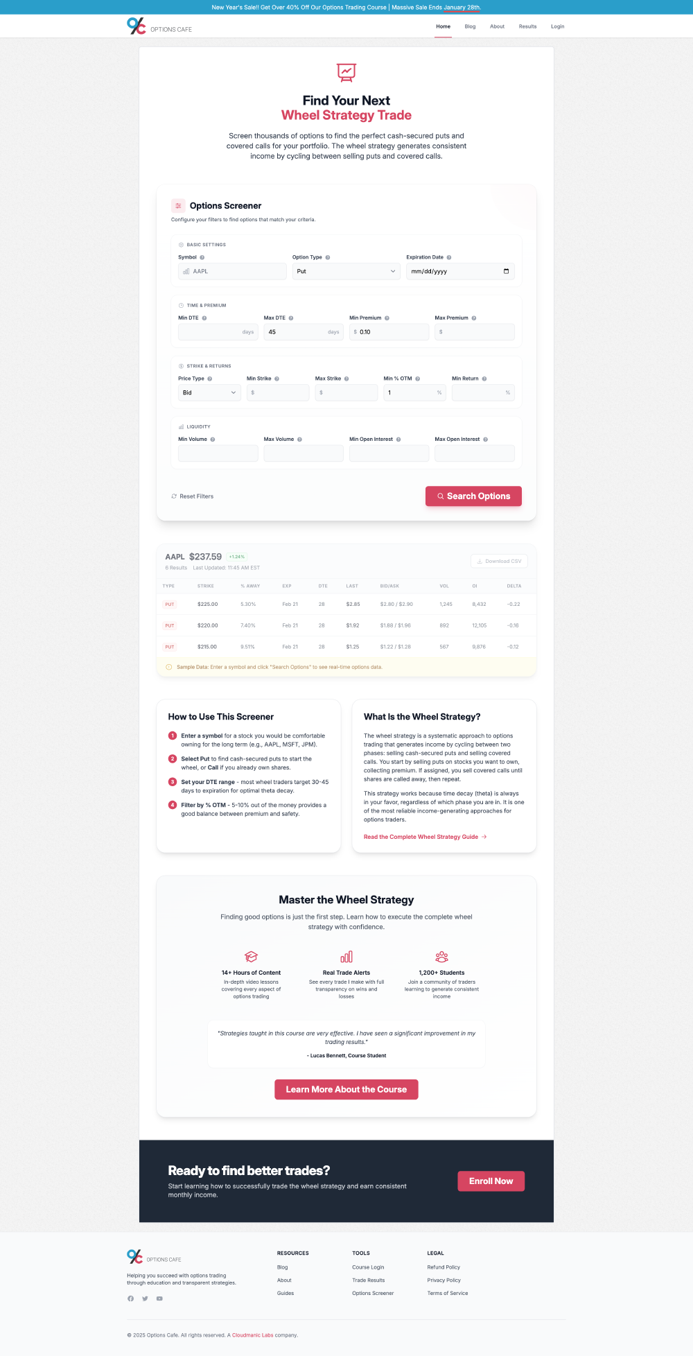 Options Cafe wheel options screener showing filter controls and results table with AAPL put options